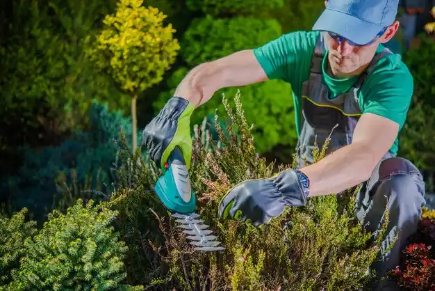 landscaping services Sabina